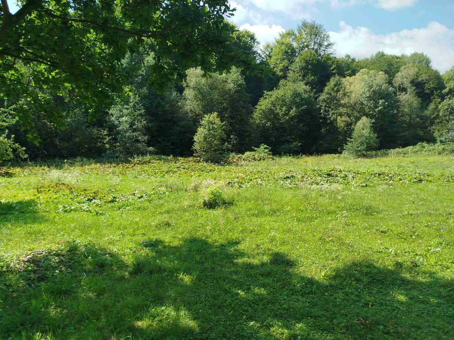 Будинок з ділянкою