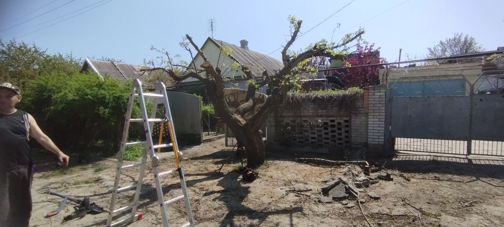 Культивация мотоблоком,уборка участка, дробление,обрезка деревьев