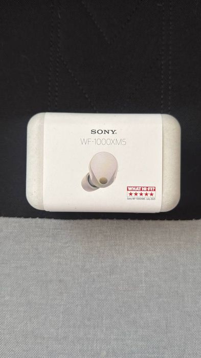 Наушники Sony WF-1000XM5 Platinum Silver