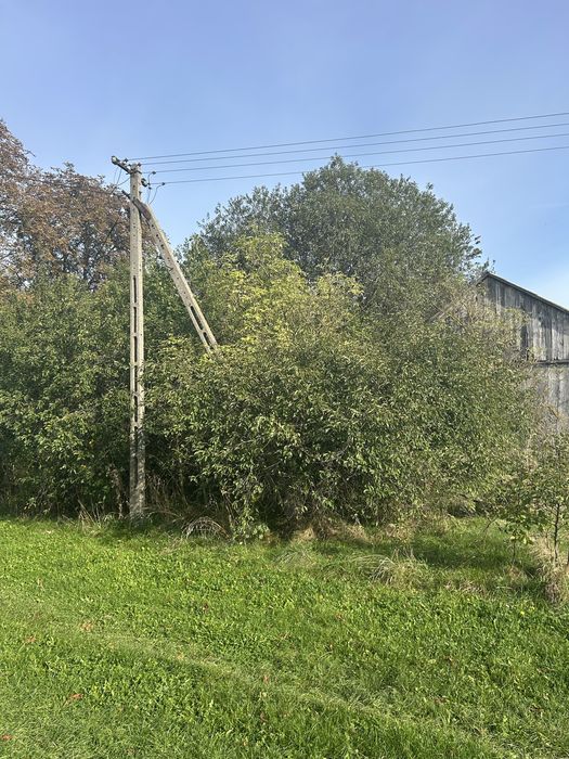 Działka rolno-budowlana z siedliskiem, spokojna okolica, media w dzialce, Prawda Nowa, gm. Stoczek Łukowski - Widok 3