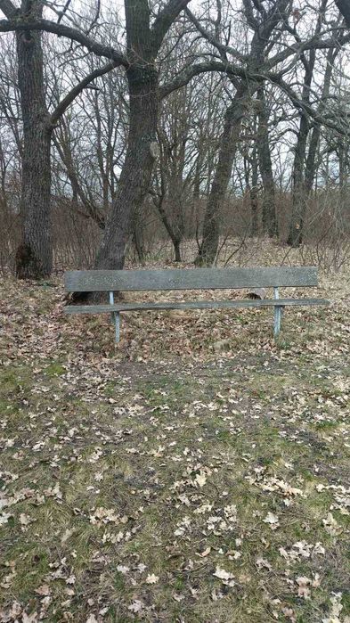 Земельна ділянка