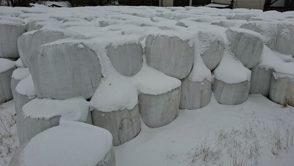 Siano /Sianokiszonka/  kiszonka   bele