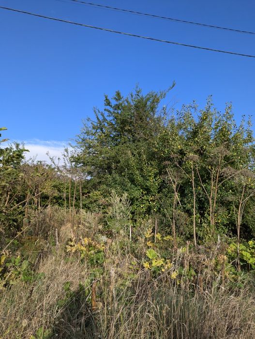 Продаж земельної ділянки 12 сот під будівництво в Підпечерах