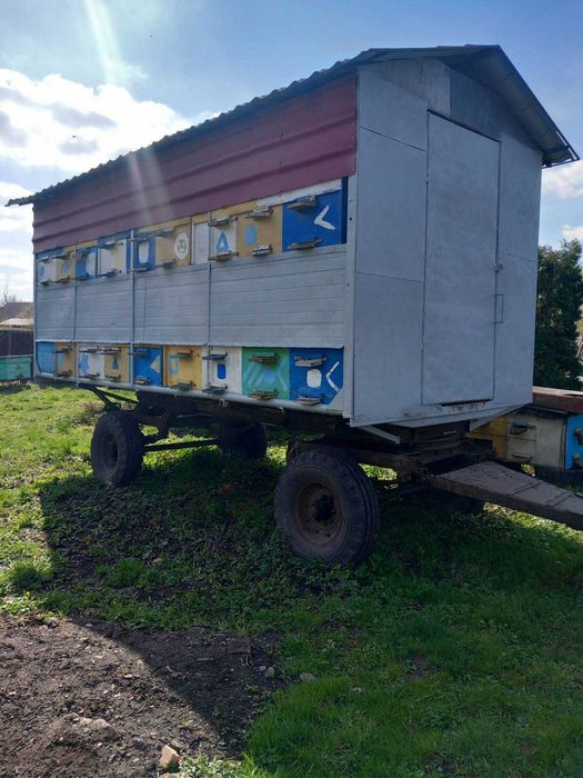 Продам павільйон з бджолами.