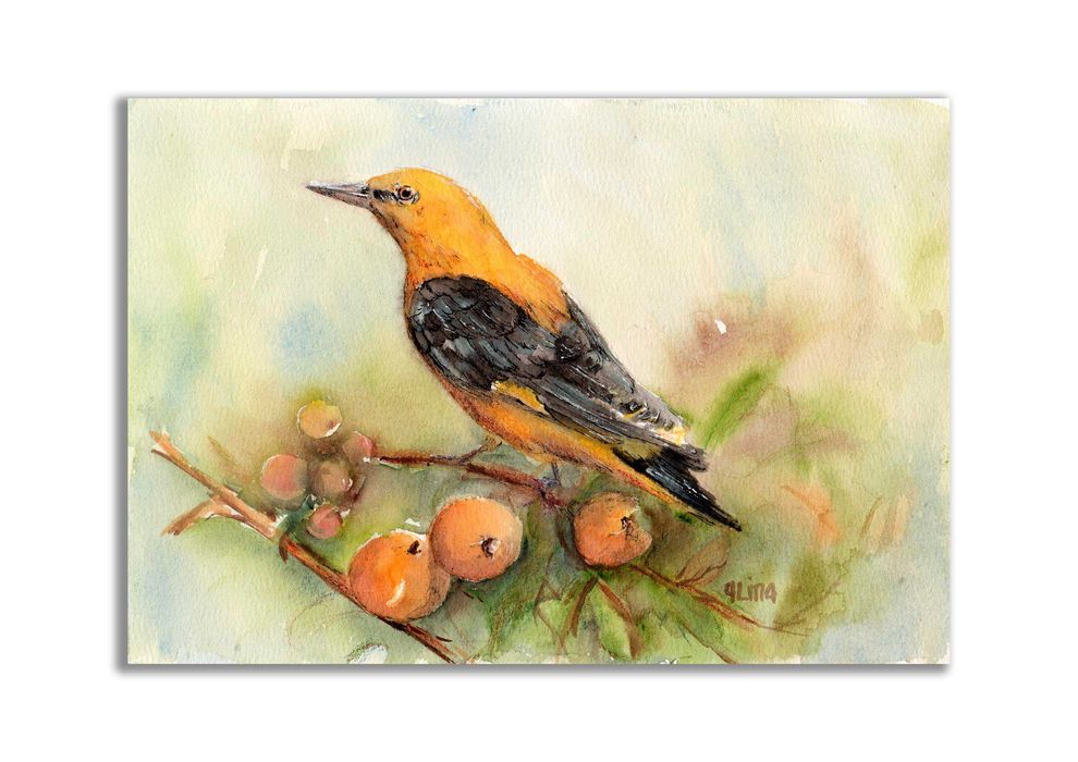 Wilga. Akwarela ręcznie malowana +rama. Ptaki