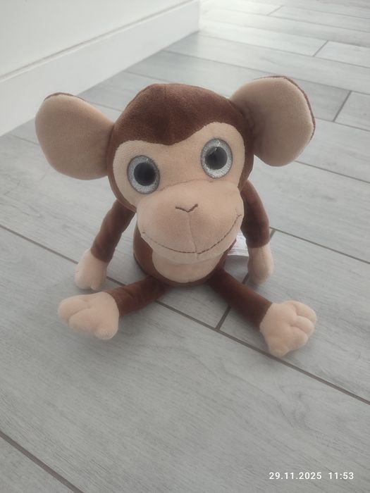 Małpka interaktywna