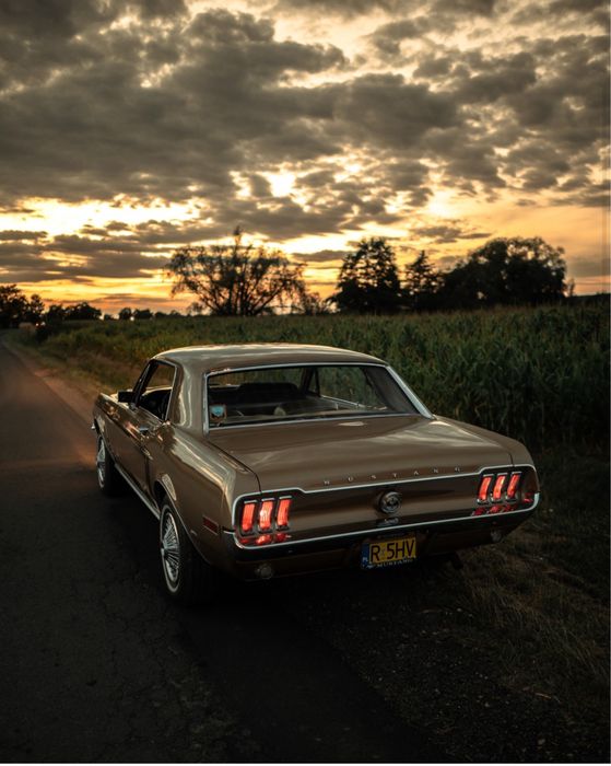 Mustangiem do Ślubu, samochód do ślubu Mustang