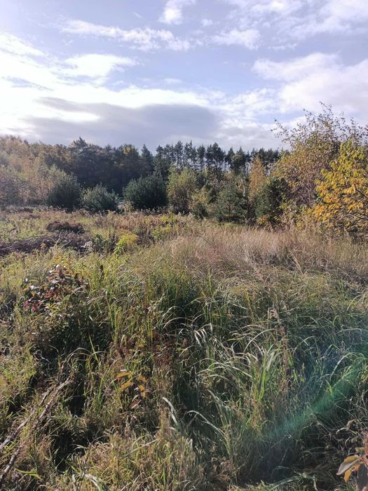 JUSZOWICE gmina Rudna dwie działki budowlane
