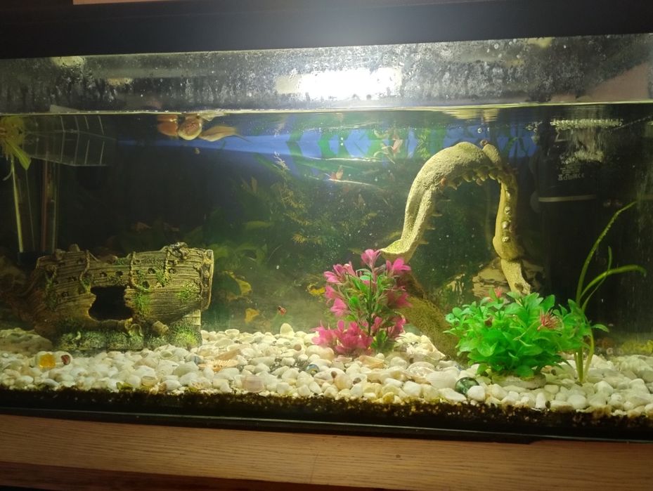 Sprzedam lub zamienię akwarium