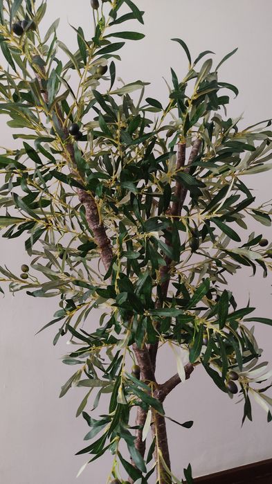 Oliveira artificial