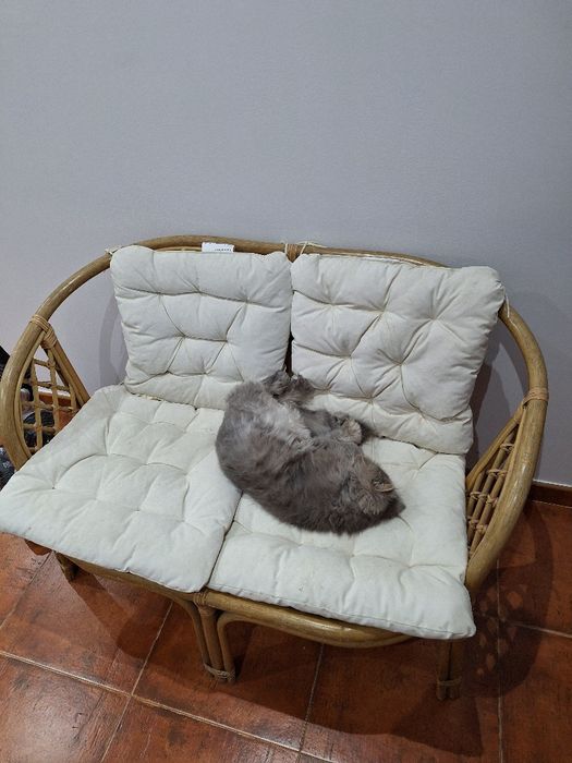 Conjunto de jardim em bambu