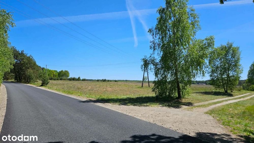 Sprzedam piękne położone działki budowlane – Brzozie, Bory Tucholskie. - Widok 5