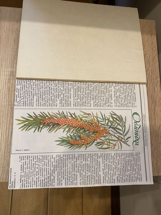 Лекарственные растения подшивка из журналов 80 х годов