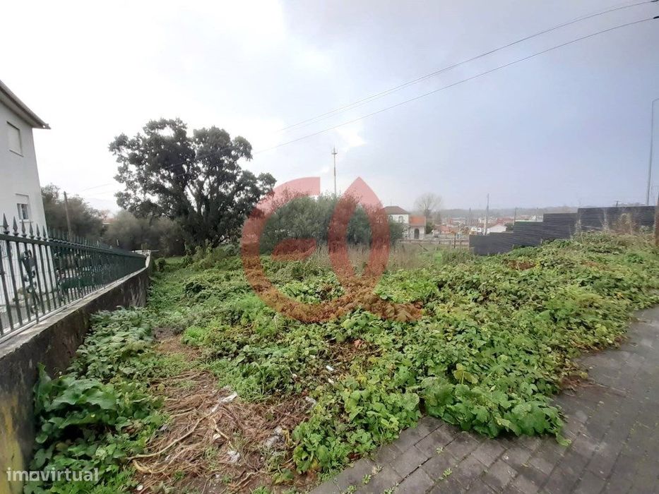 Lotes p/ construção - Darque, Viana do Castelo