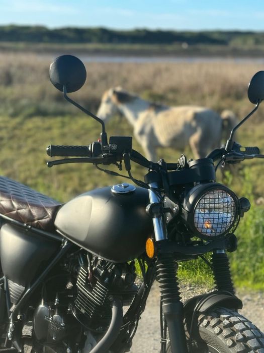 Mutt, como nova, otima oportunidade