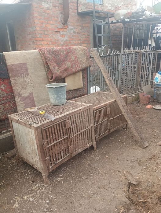 Клітки для нутрій та кролів