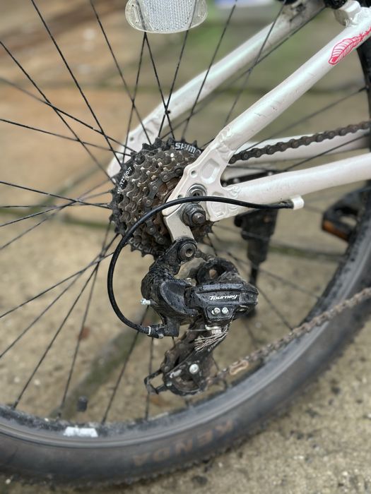 Велосипед 24" Winner Betty підлітковий для дівчинки