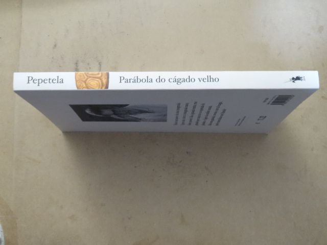 Parábola do Cágado Velho de Pepetela