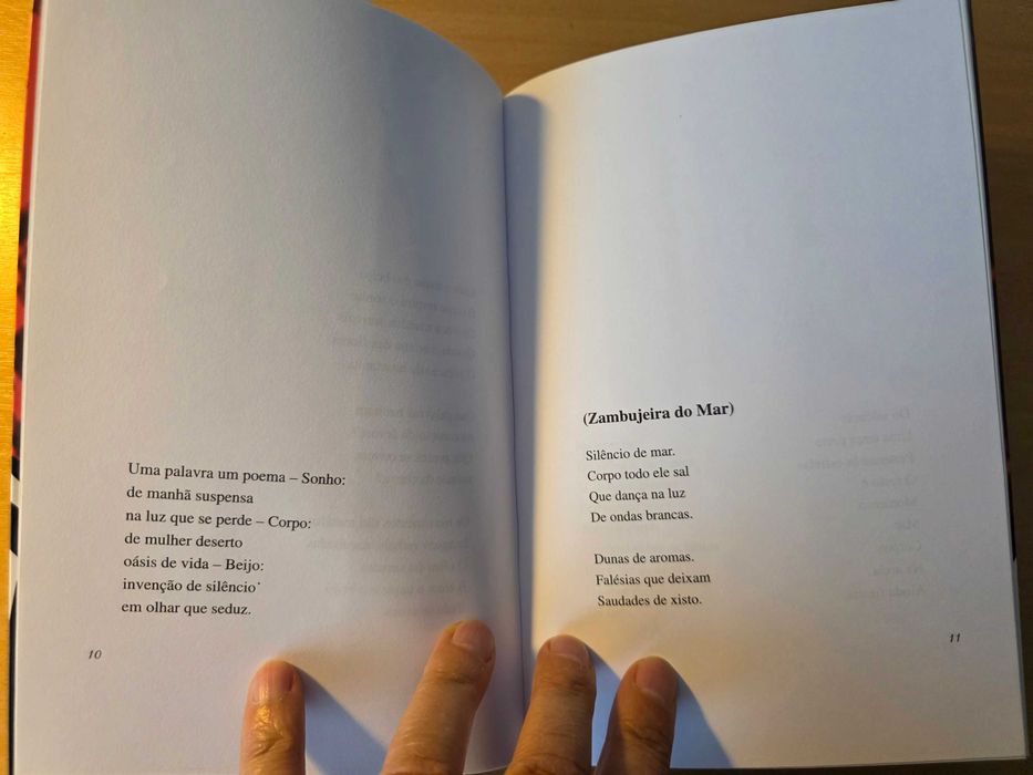Livro "Entre o Silêncio e o Fogo" de Manuel A. Domingos