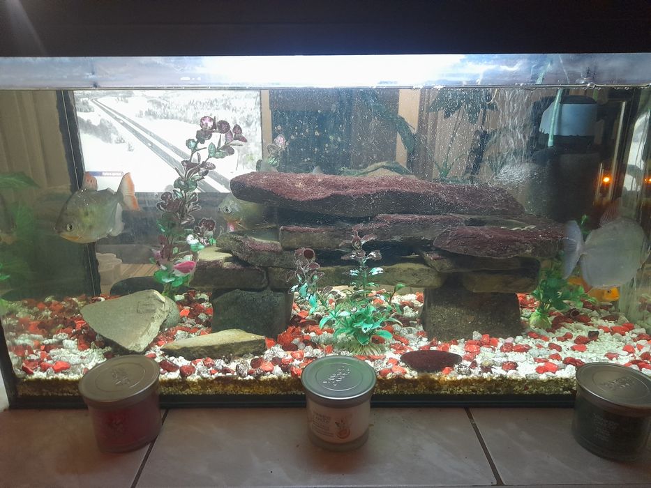 Akwarium 112L zestaw