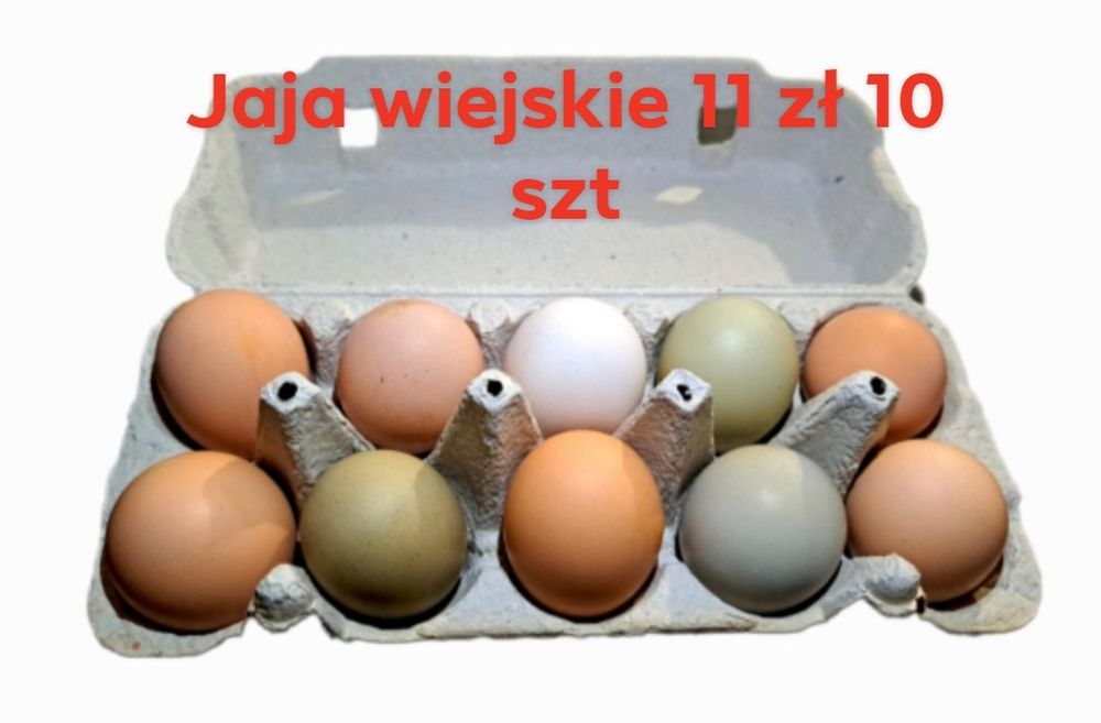 Jajka wiejskie ekologiczne
