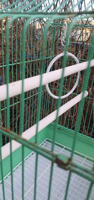 Gaiola para passarinhos