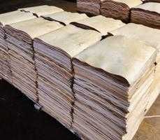 Шпон лущений береза