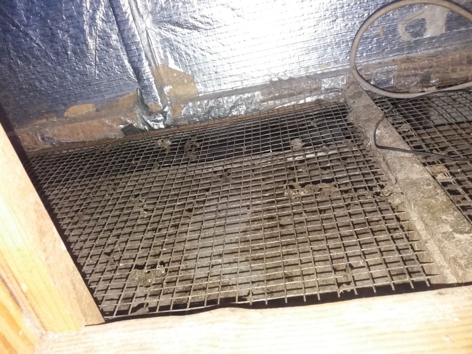 Бруддер ддя відігріву курчат