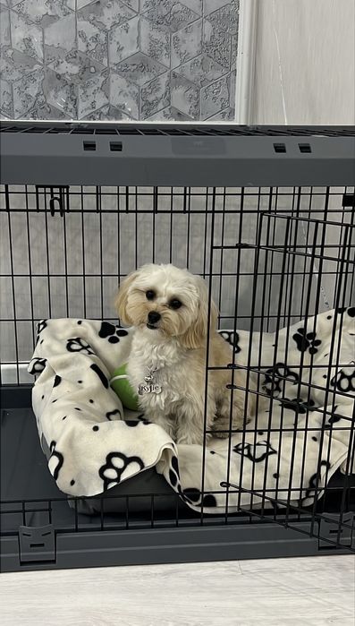 Клітка для собак 92х58,5х62,5 см, металева, майже нова