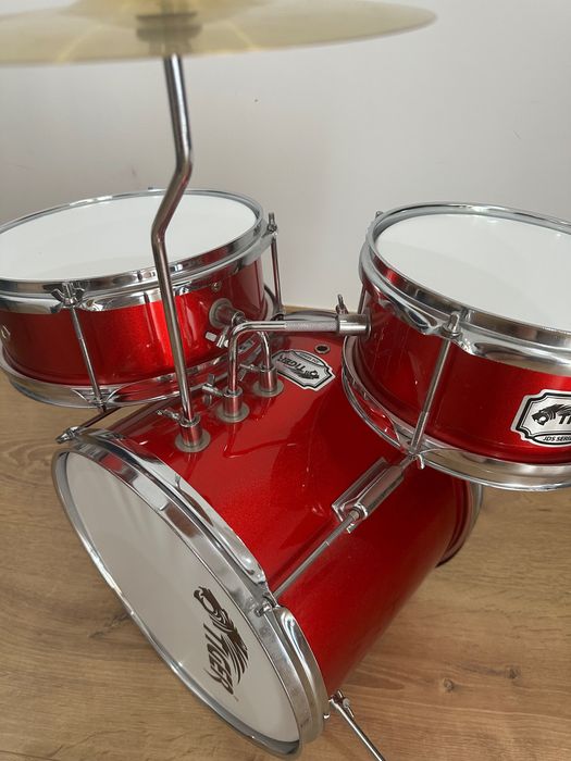 Bateria juvenil Tiger