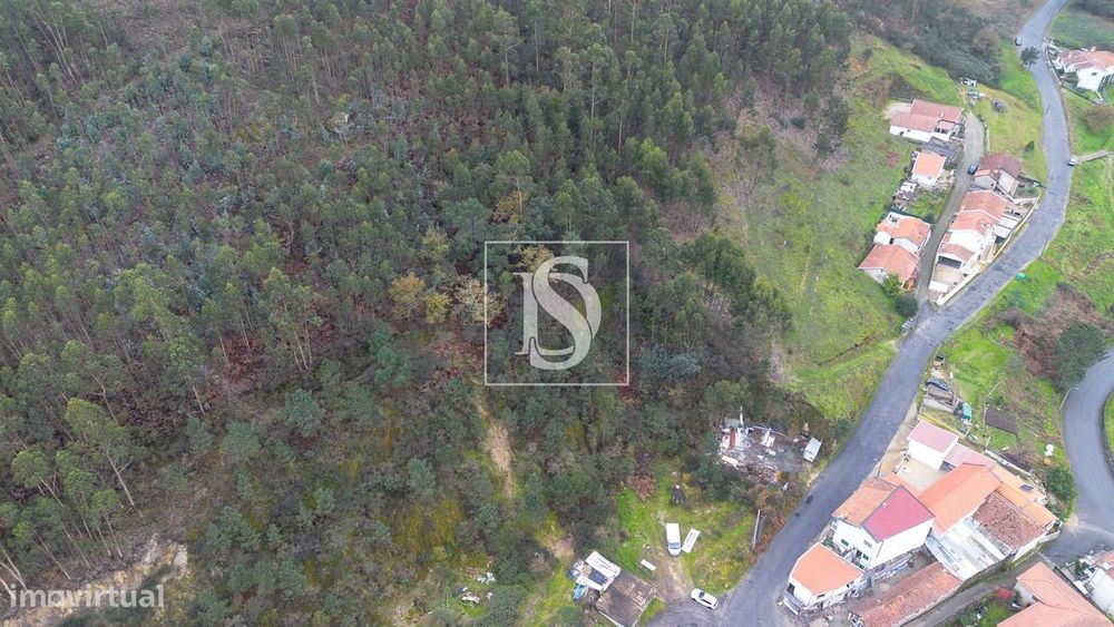 Terreno  Venda em Vandoma,Paredes