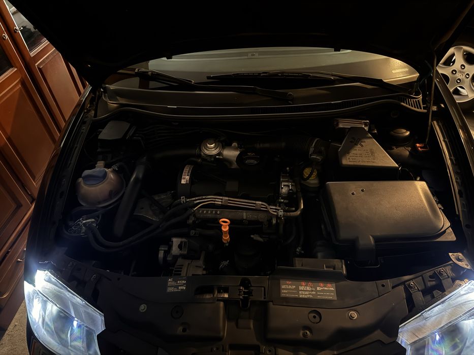 Seat ibiza 6l.