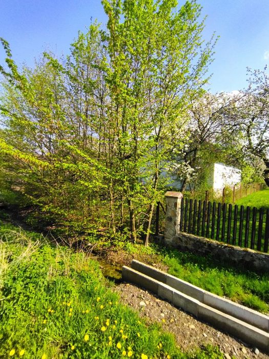 Будинок з земельною ділянкою