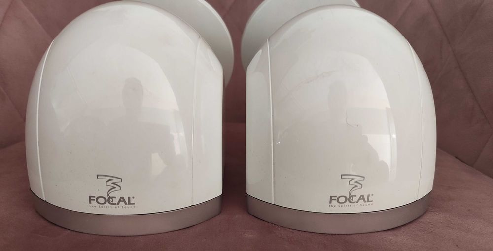 2 Focal little bird ( Vendo/Troco)