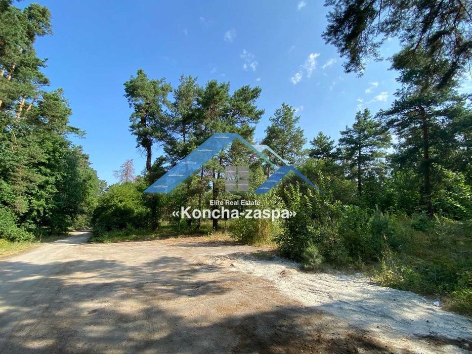 Ексклюзивна ділянка в лісовій частині. Козин. Конча Заспа