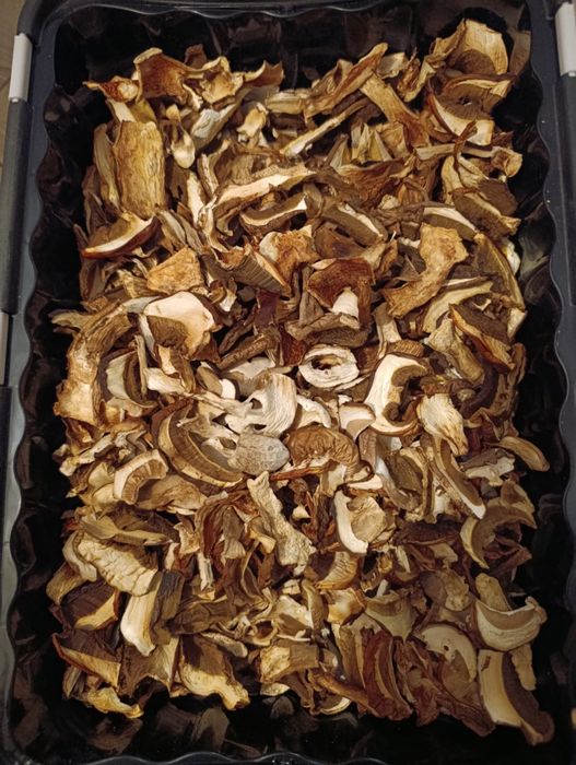 Sprzedam grzyby suszone