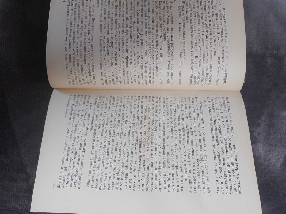 Гюстав Флобер. Бовари