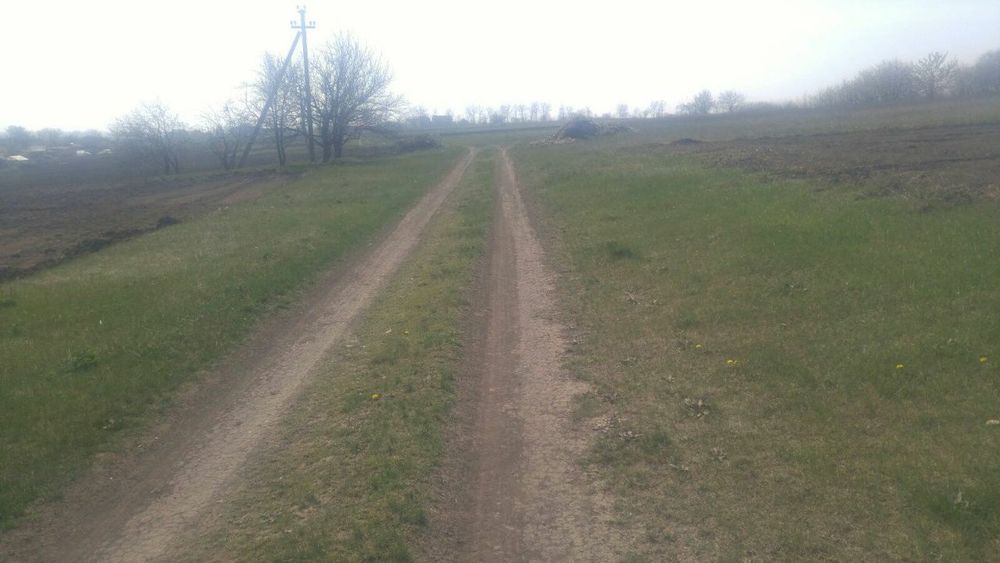 Земельна ділянка в селі Бережинка