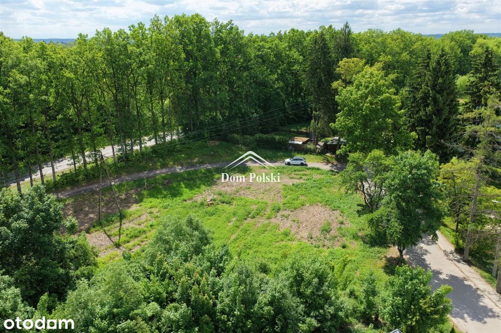 Działki budowlane 1245 m² - Osiedle Siejnik II - Widok 4