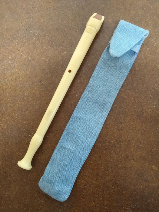 Flauta de bisel com estojo como nova