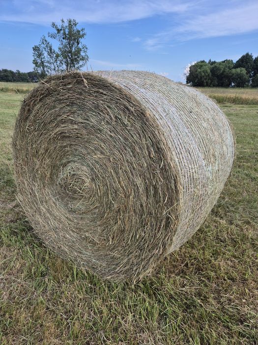 Siano z lucerny baloty kostka słoma
