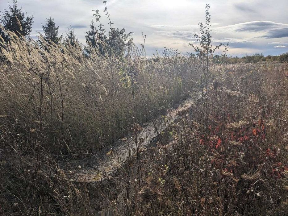 ділянка 12 сот під будівництво Іваниківка (13)