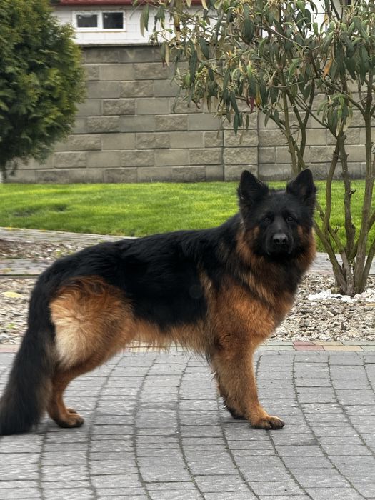 Кобель для вʼязки КСУ