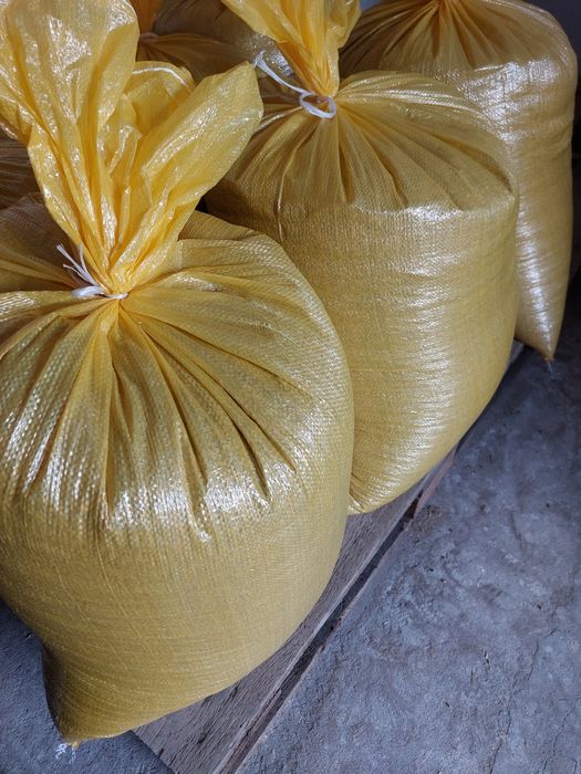 Pszenica  jara i ozima.