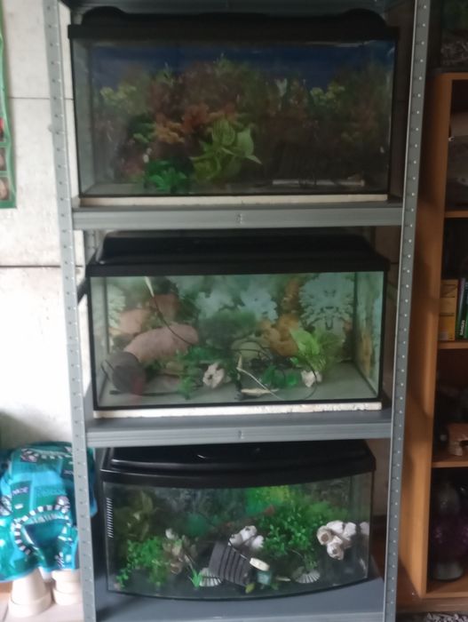 Sprzedam akwarium 112 l