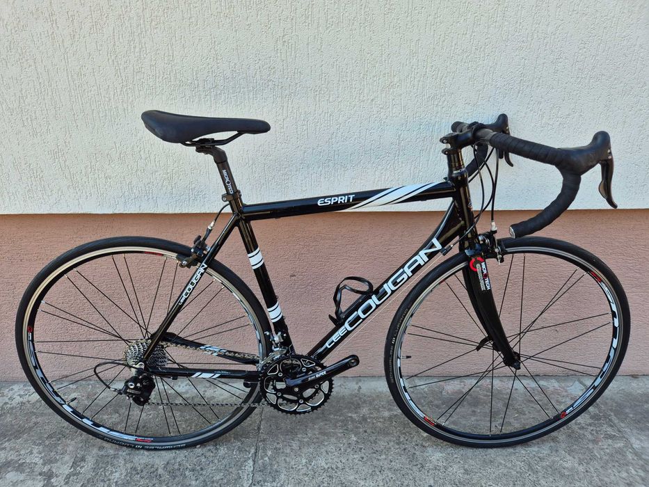 Rower szosowy Lee Cougan, alu/carbon, Campagnolo