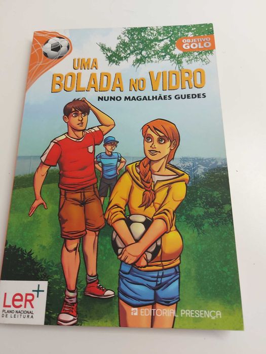 Livro uma bolada no vidro