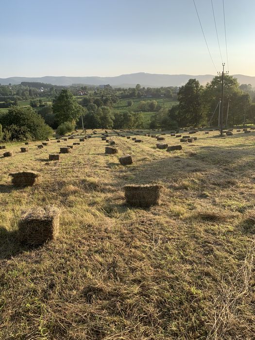 Сіно в тюках ціна 70