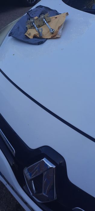 Amortecedor de porta renault