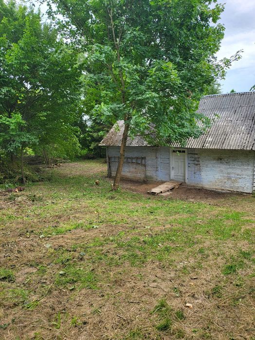 Dom – Tomaszów Lubelski - Widok 4